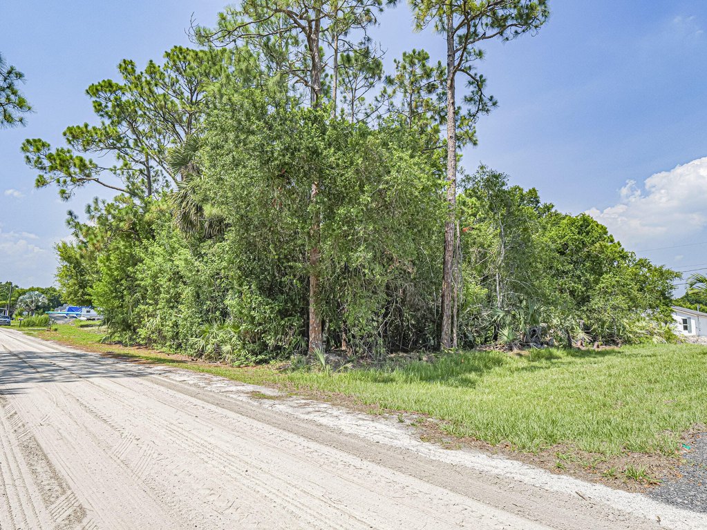 Picture 16