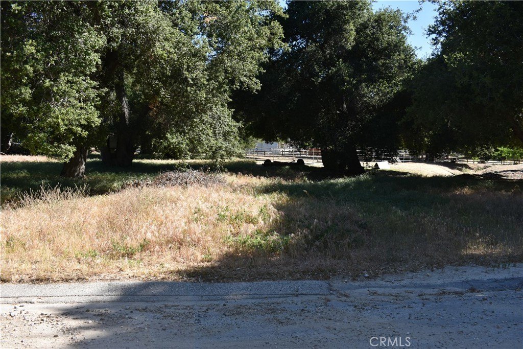 Picture 16