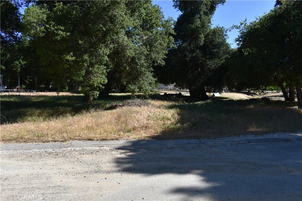 Picture 13