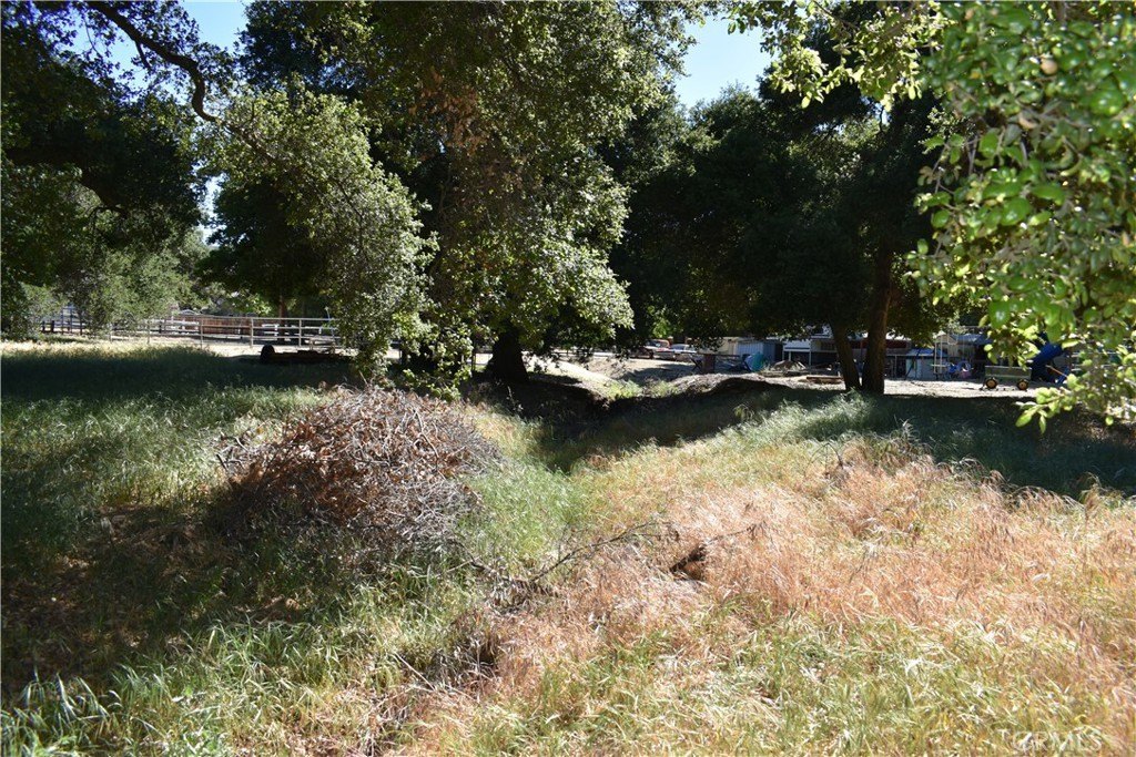 Picture 12