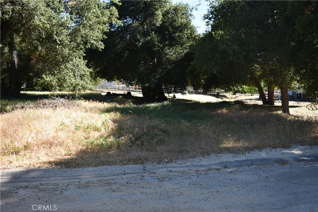 Picture 15
