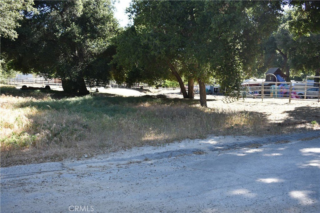 Picture 14