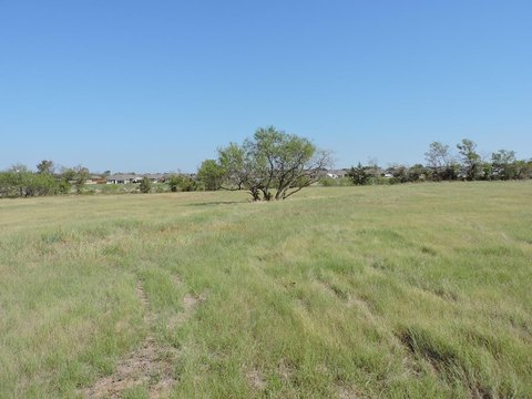 Mabank, TX Commercial Land