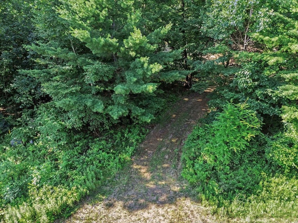 Picture 17