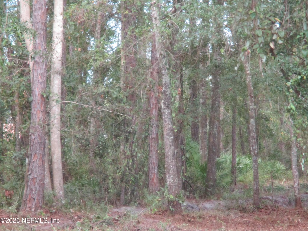 Picture 5