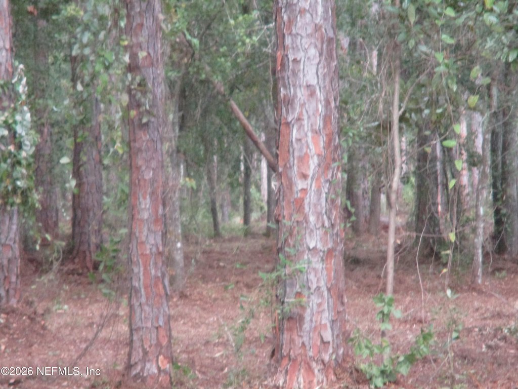 Picture 4