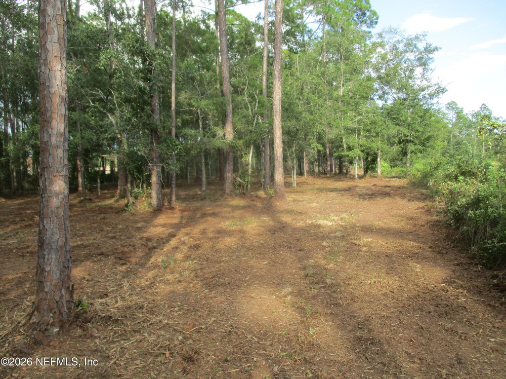 Picture 12