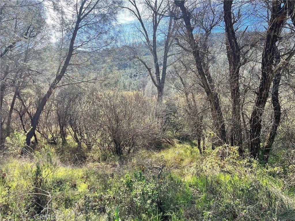 Picture 16