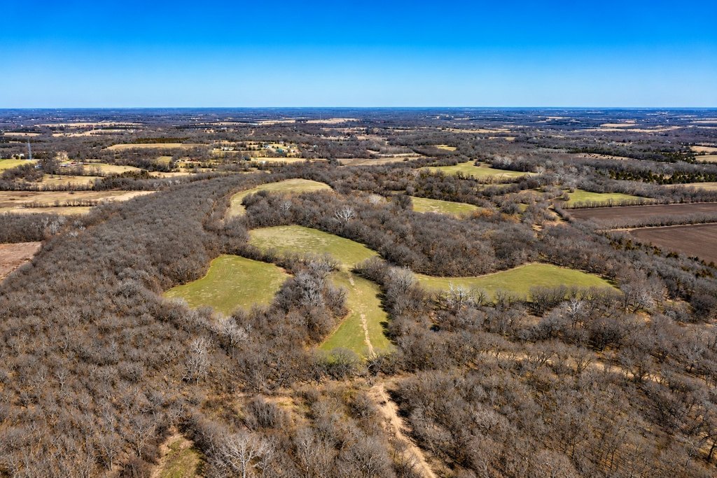 Picture 20