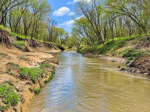 Agricultural Land Along Creek