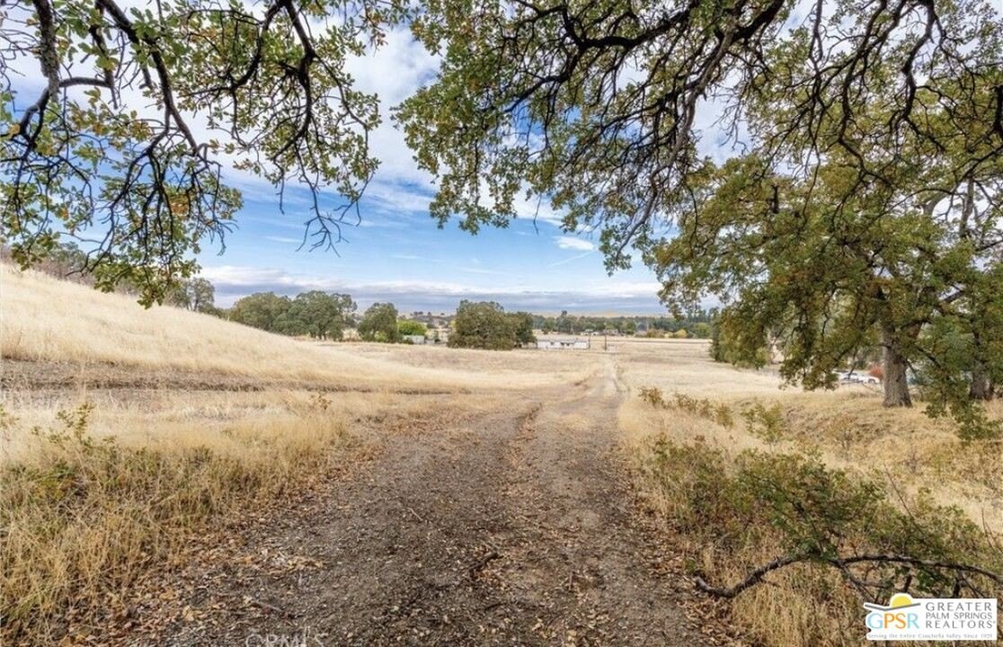 Acreage in Olive City