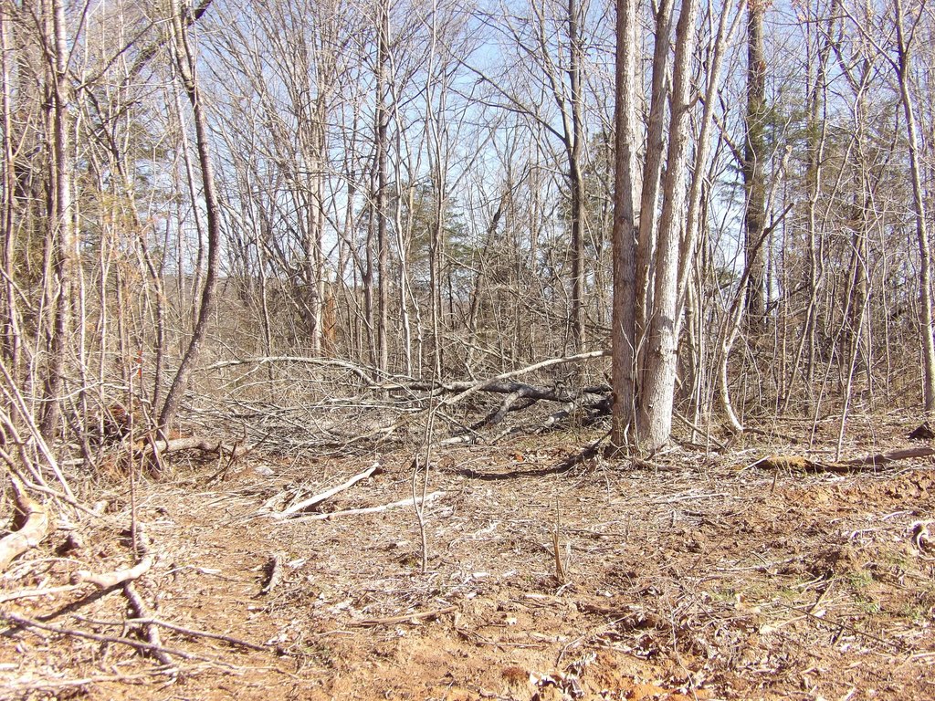 Picture 14