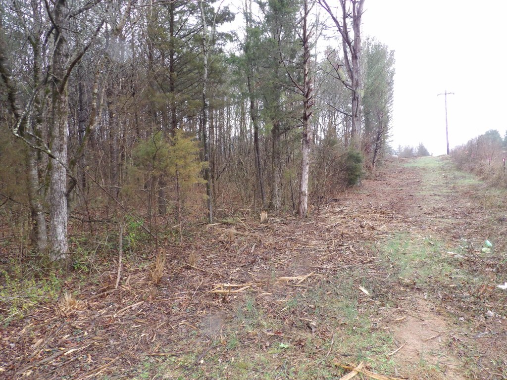 Picture 3