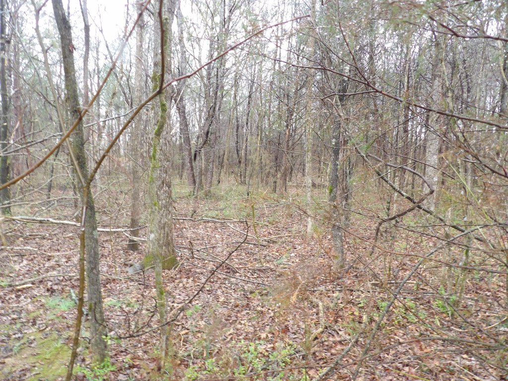 Picture 4