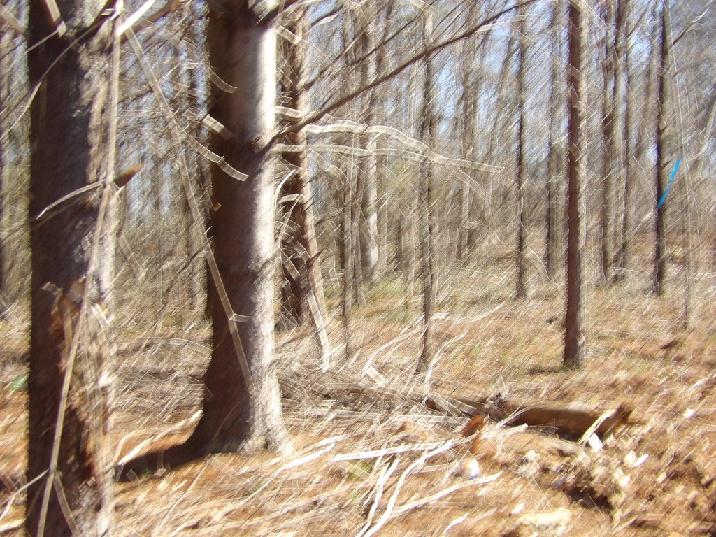 Picture 13