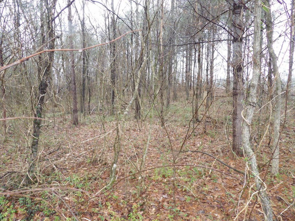 Picture 8