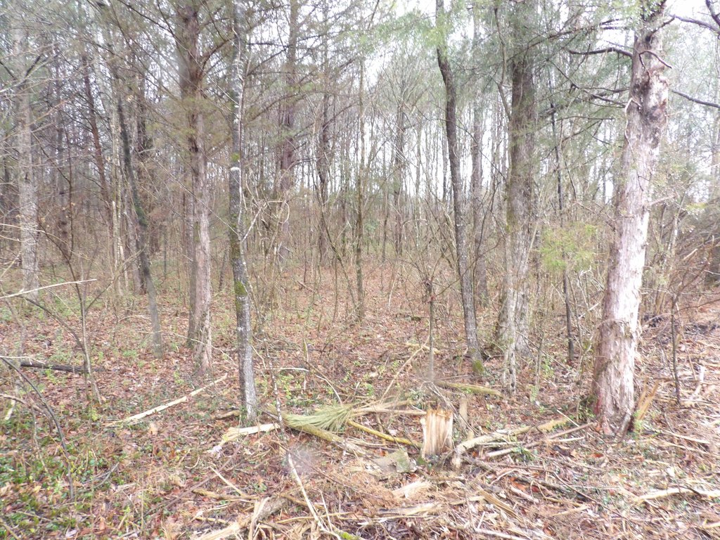 Picture 5