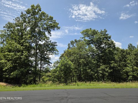 Residential Land in Grande Vista