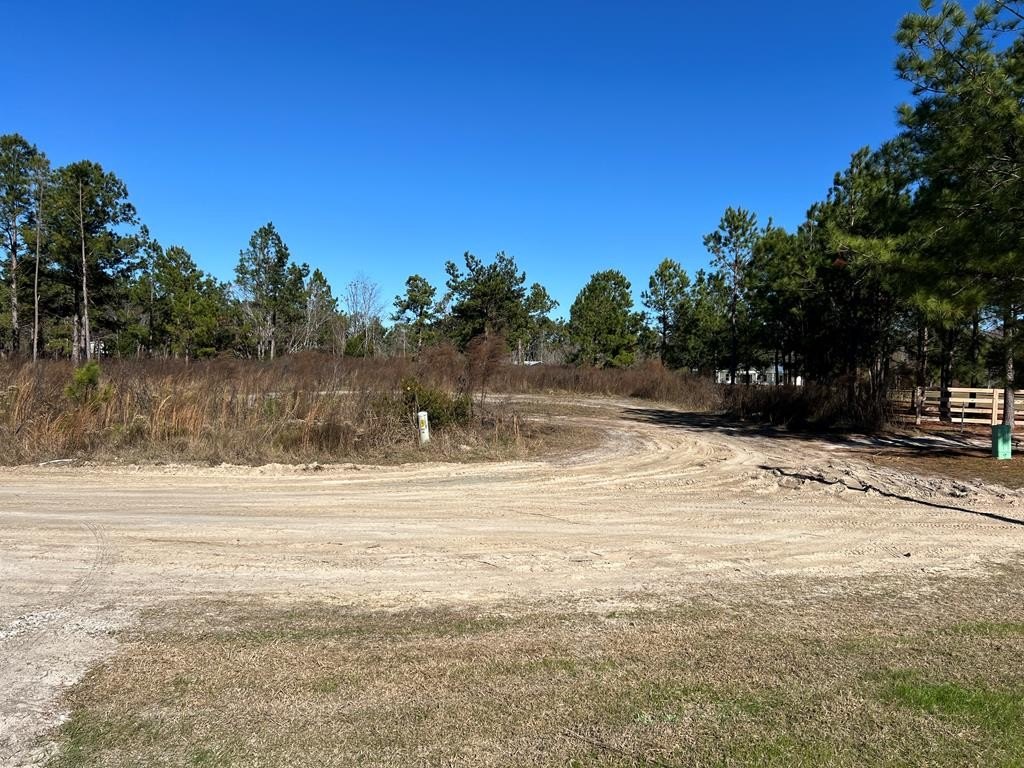 Residential Lot in Naylor, GA