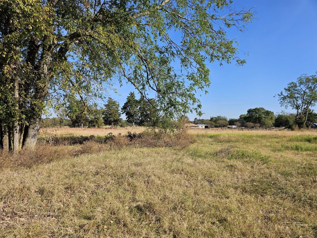 Picture 4