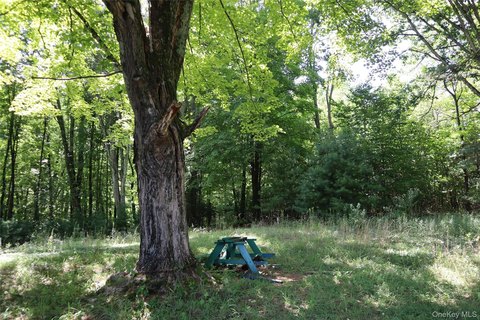 Land, Wurtsboro, NY
