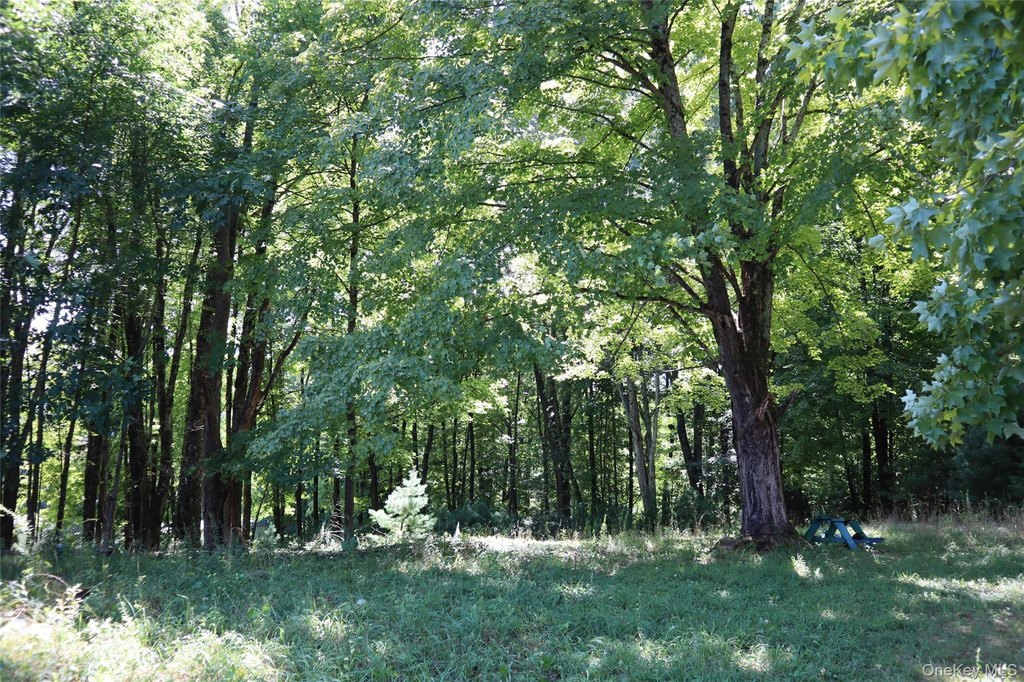 Picture 3