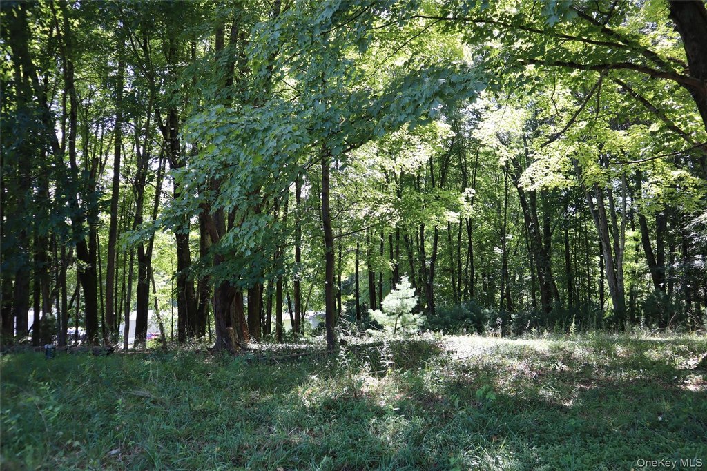 Picture 5