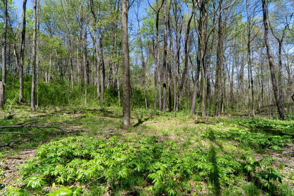 Picture 22