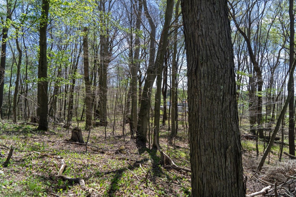Picture 41