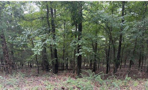 Land, Bella Vista, AR
