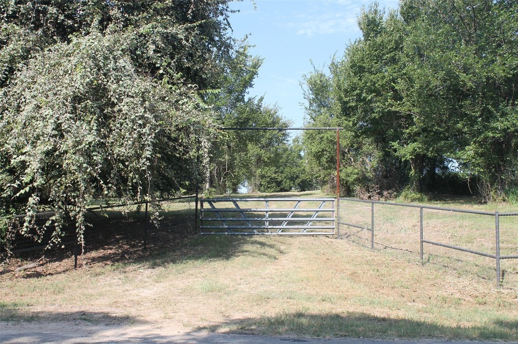 Picture 5