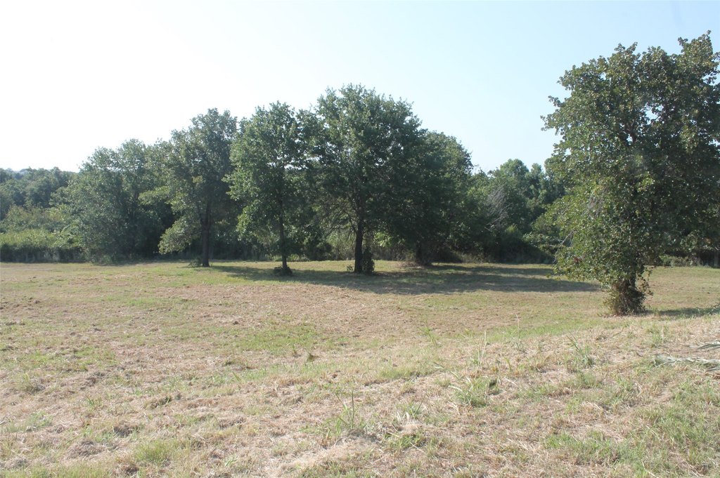 Picture 11