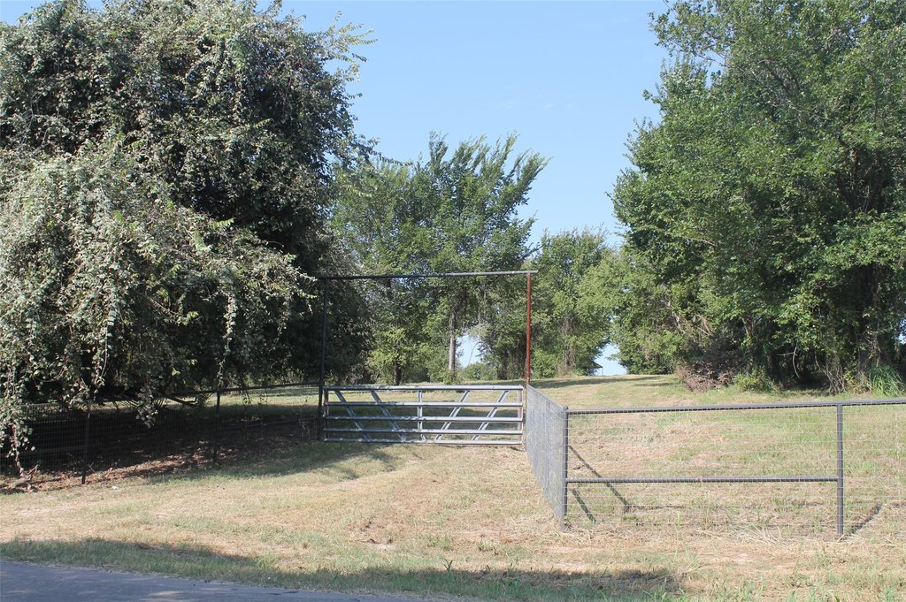 Picture 3