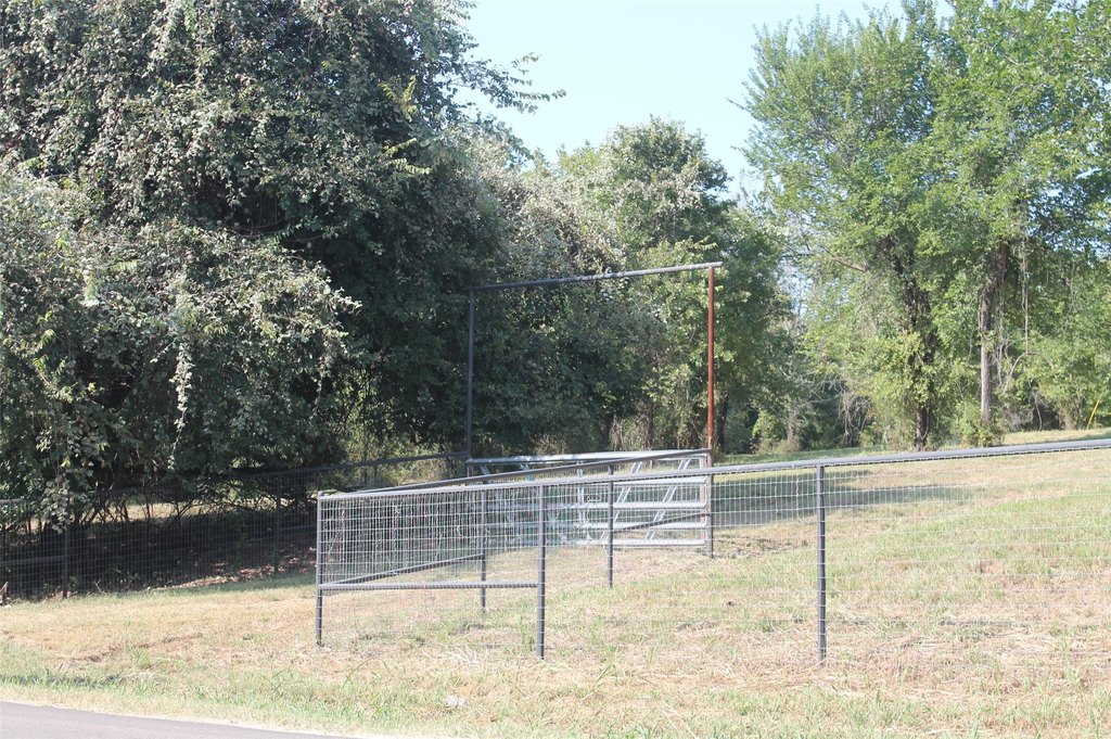 Picture 6
