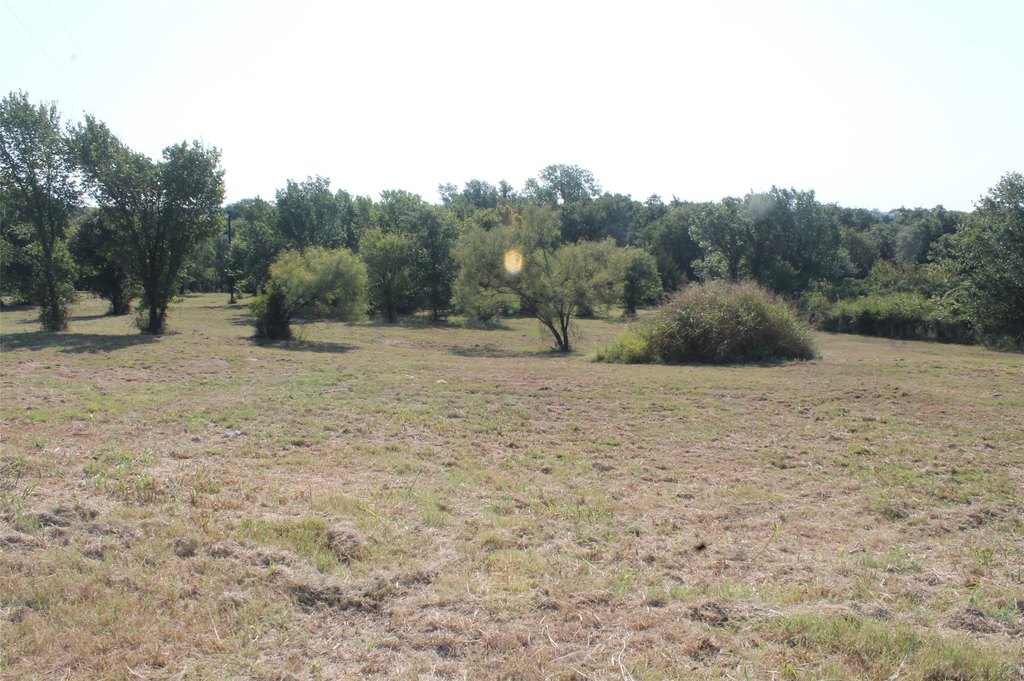 Picture 13