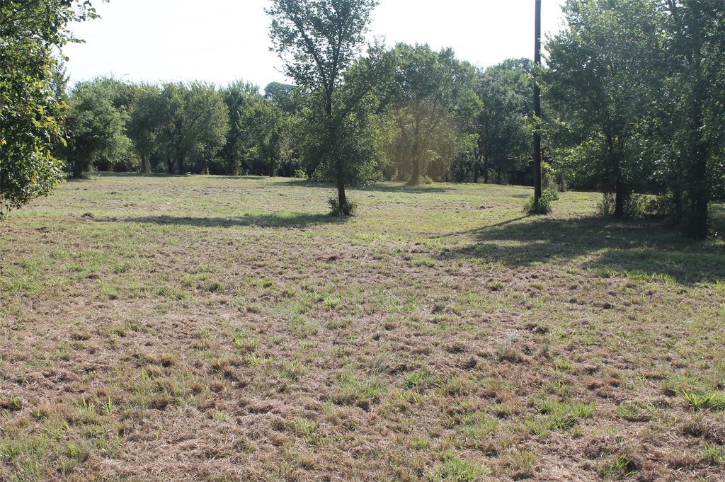Picture 9