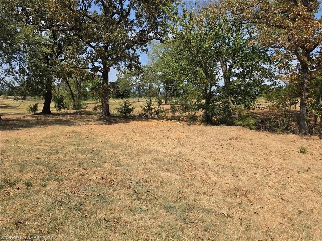 Picture 23