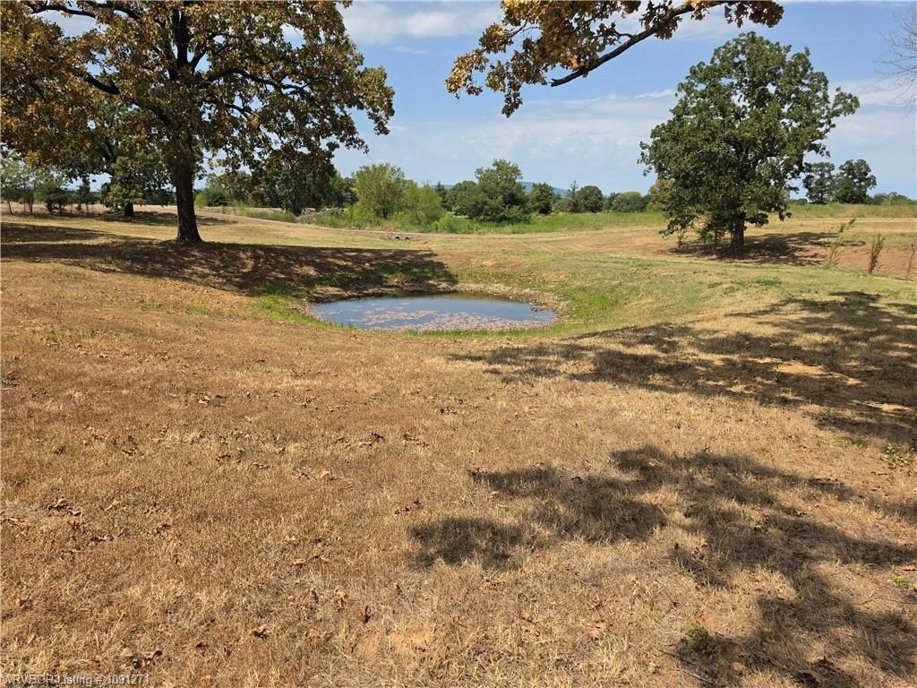 Picture 22