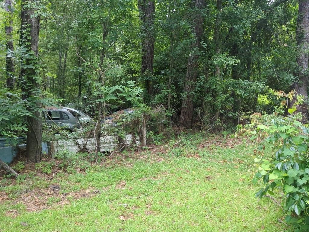 Picture 11