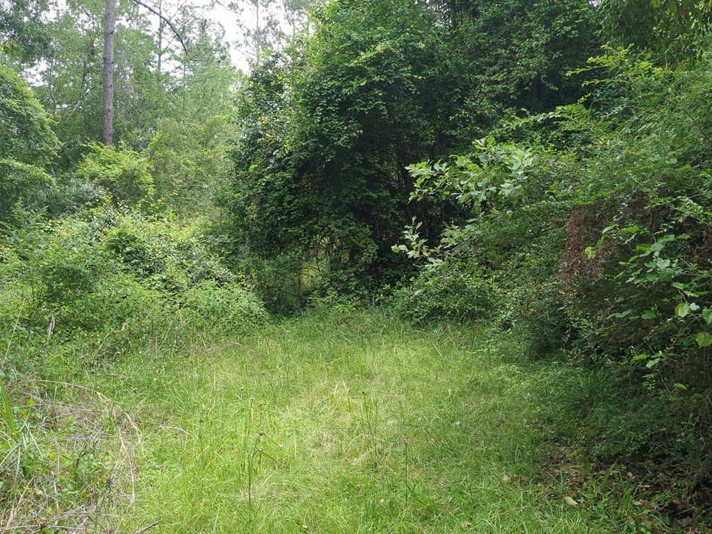 Picture 2