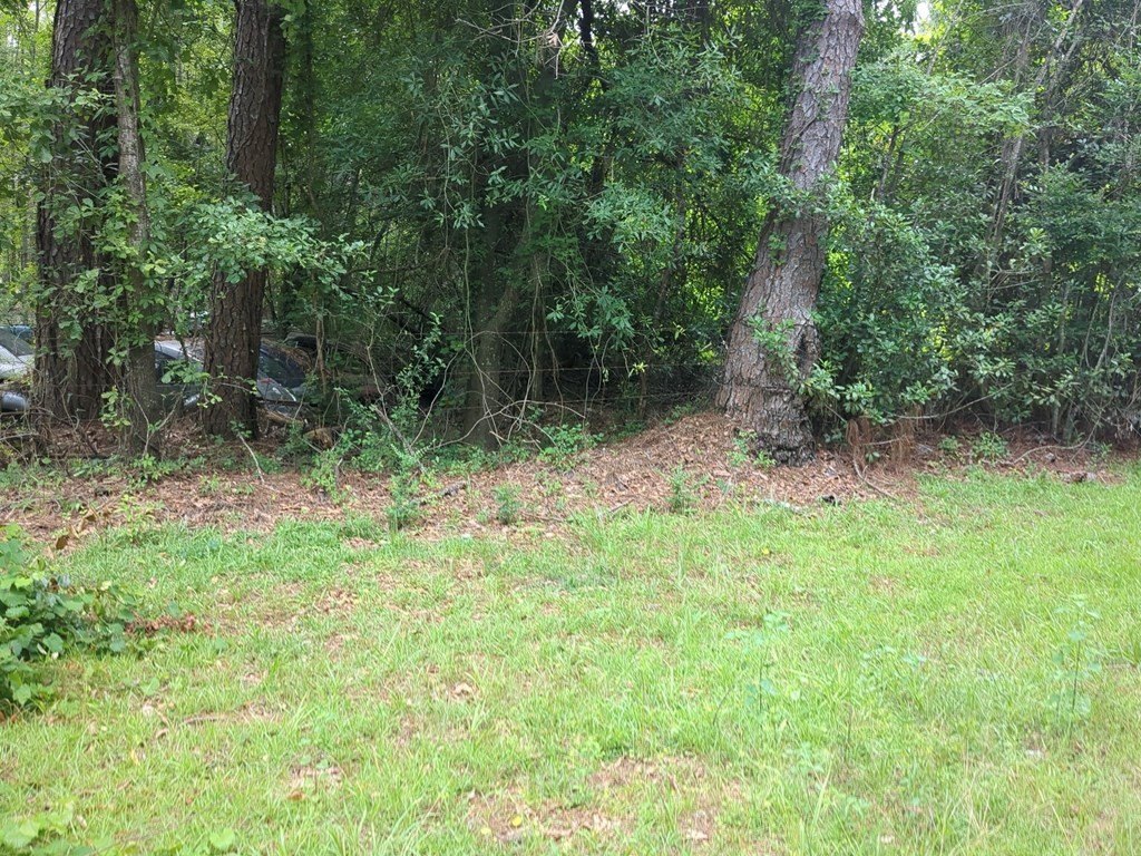 Picture 8