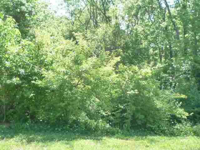 Picture 8