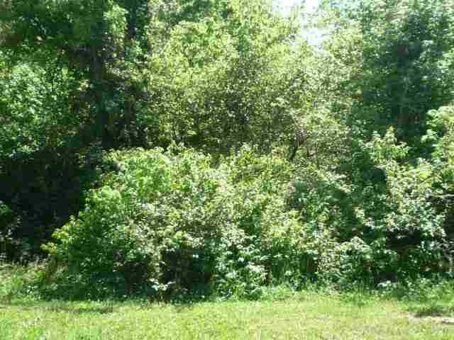 Picture 10