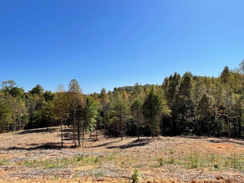 Land Near Dale Hollow Park