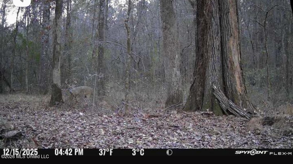 Picture 4