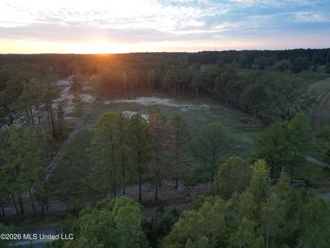 Land, Carthage, MS