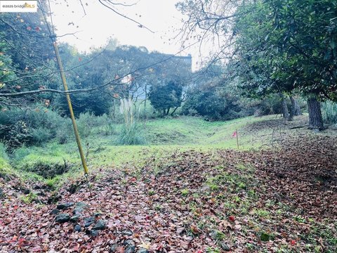 Oakland Hills Land Parcel