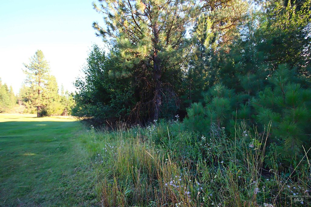 Picture 22