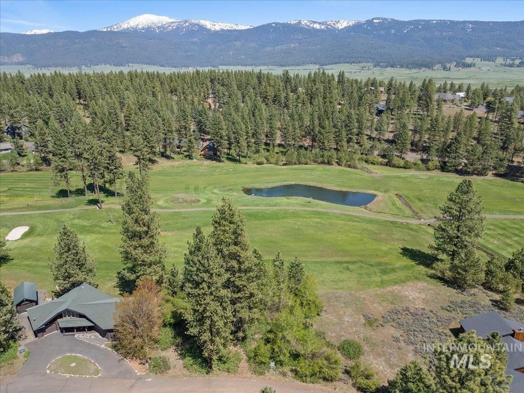 Picture 4