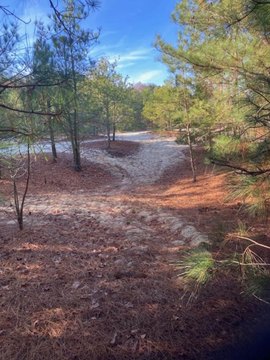 Seaside Land with Sand Pit